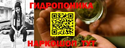 Альфа ПВП Ликино-Дулёво