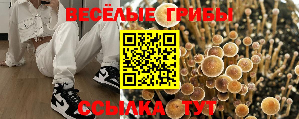 Псилоцибиновые грибы прущие грибы Зеленокумск