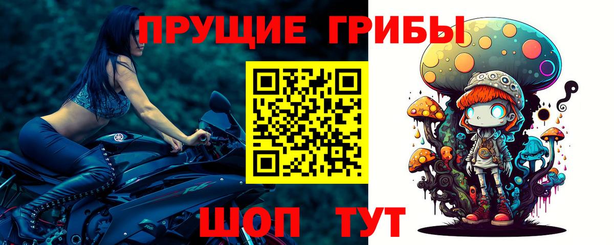 Псилоцибиновые грибы Psilocybine cubensis  закладка  Галлюциногенные грибы GOLDEN TEACHER  Зеленокумск  Вход с VPN 